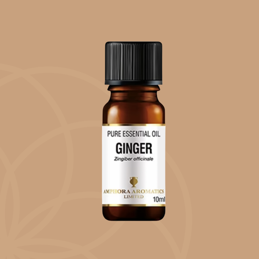 Amphora Aromatics Ginger | Ingefær Eterisk Olje 10 ml
