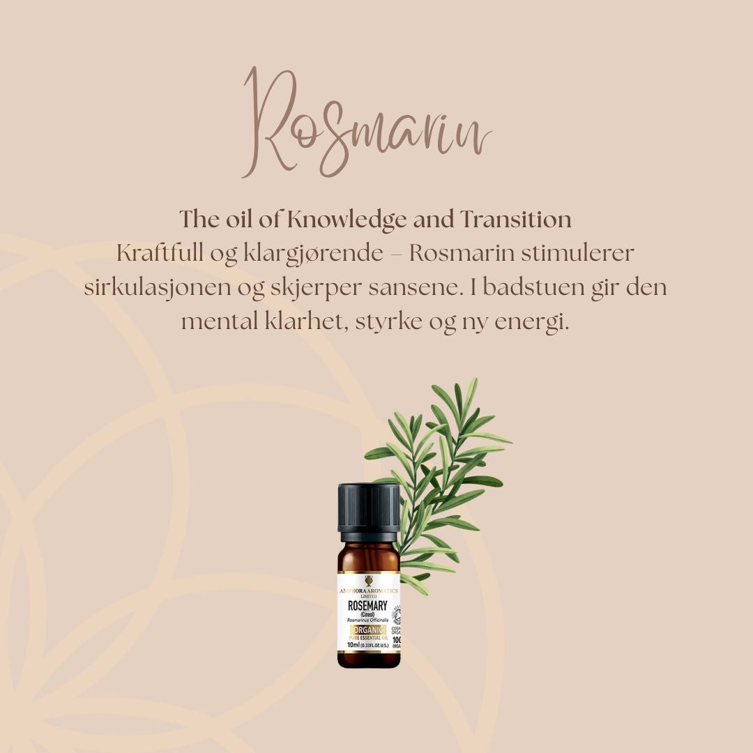 Sauna Badstue Kit | Eteriske oljer | 5 oljer