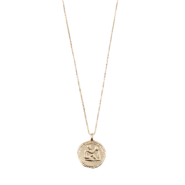 Pilgrim ZODIAC Vannmannen Aquarius Halskjede Gullbelagt-the-feelgood-shop