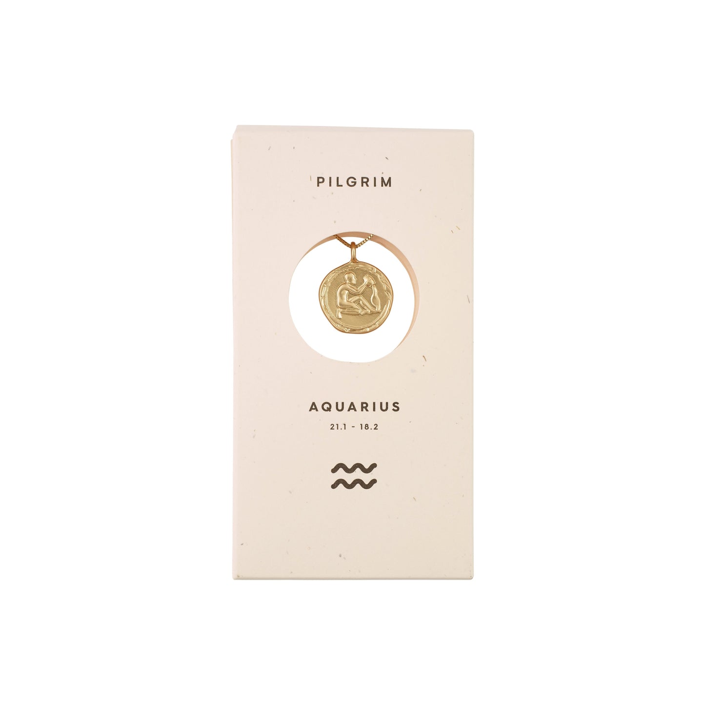 Pilgrim ZODIAC Vannmannen Aquarius Halskjede Gullbelagt-the-feelgood-shop
