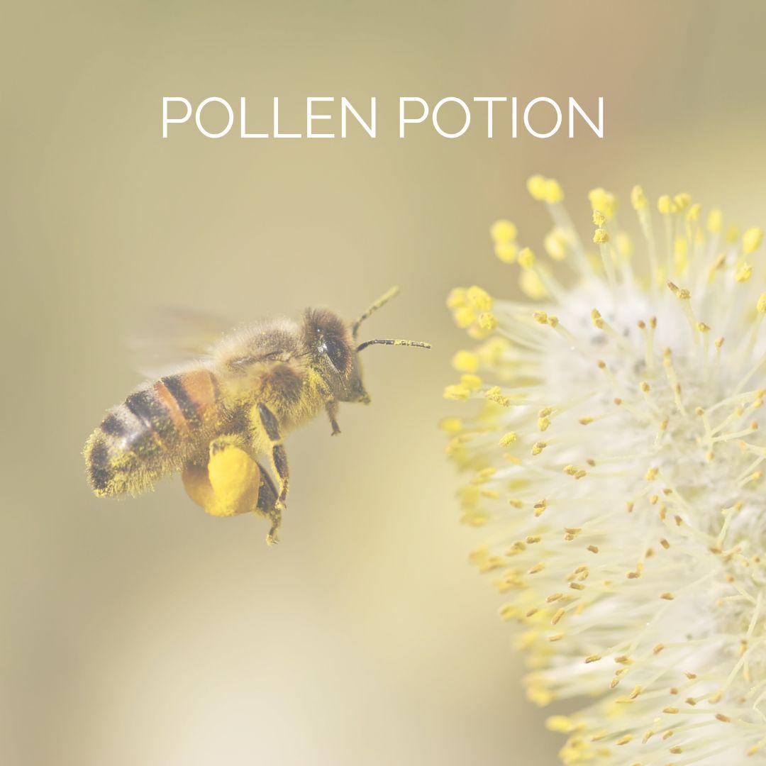 Pollen Potion Allergi Eterisk Olje Kit-the-feelgood-shop