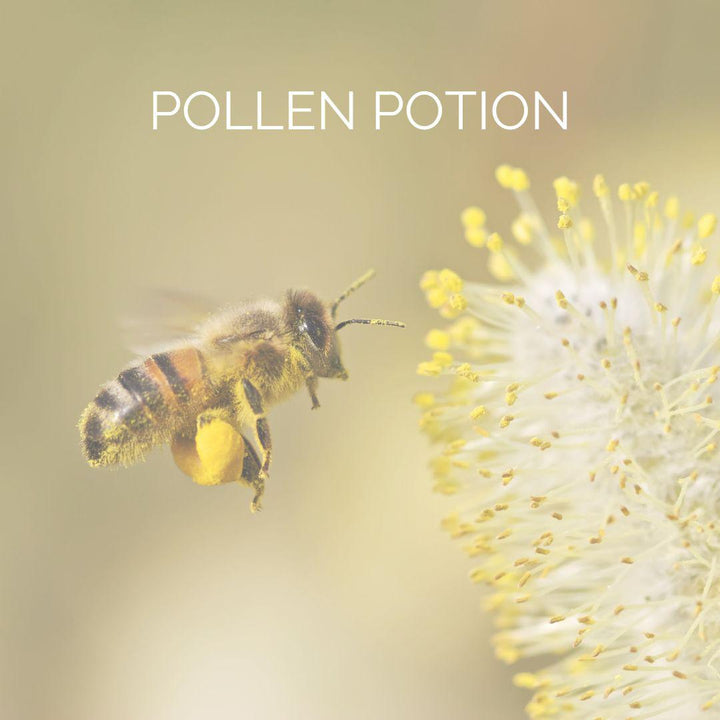 POLLEN POTION | Allergi Eterisk Olje Kit