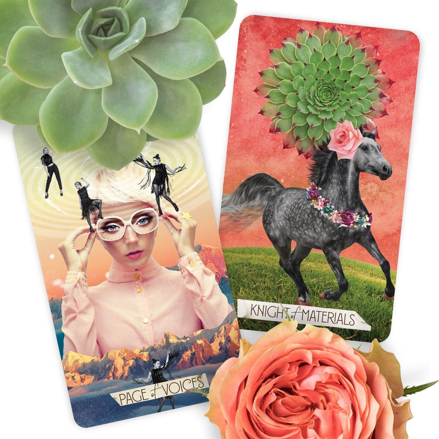 Tarot Kort | The Muse Tarot | Chris-Anne-the-feelgood-shop