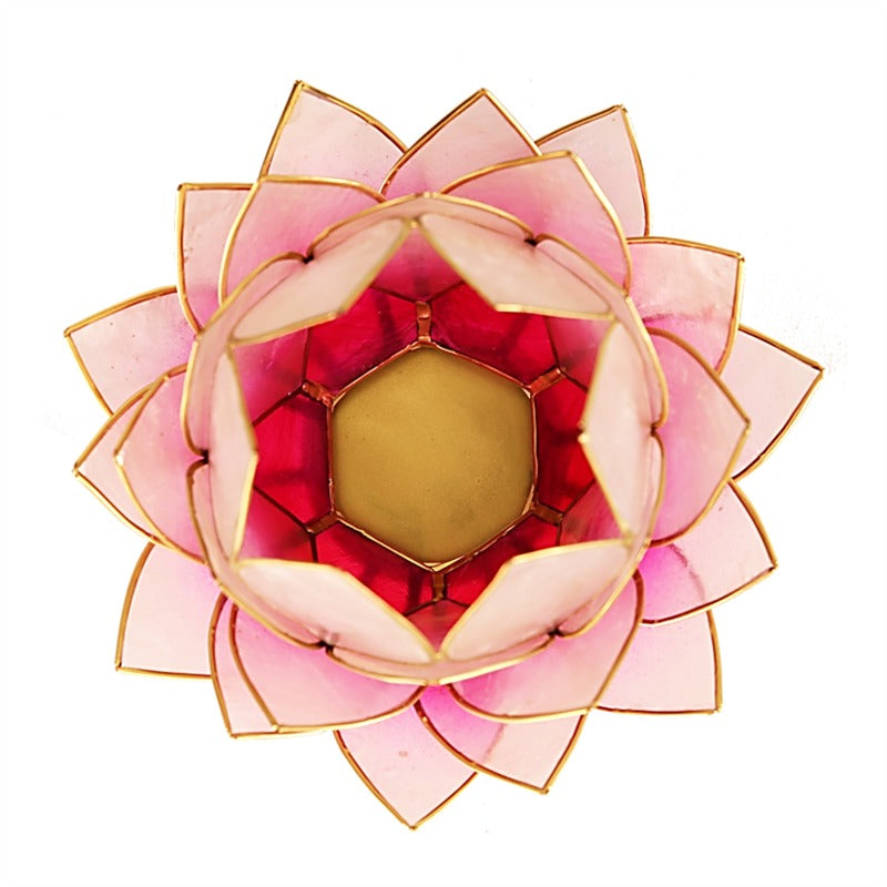 Telysholder Lotus Capiz Rosa Stor-the-feelgood-shop