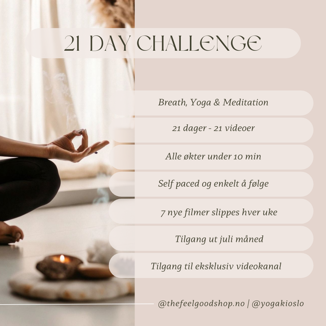 21 DAY CHALLENGE | Breath, Yoga & Meditation