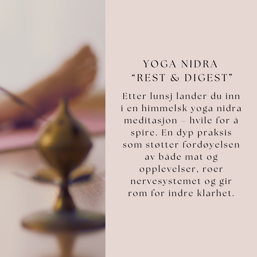 Utsolgt! Dagsretreat | Spring Detox & Activation Day | Søndag 27. april kl. 10:00–16:30
