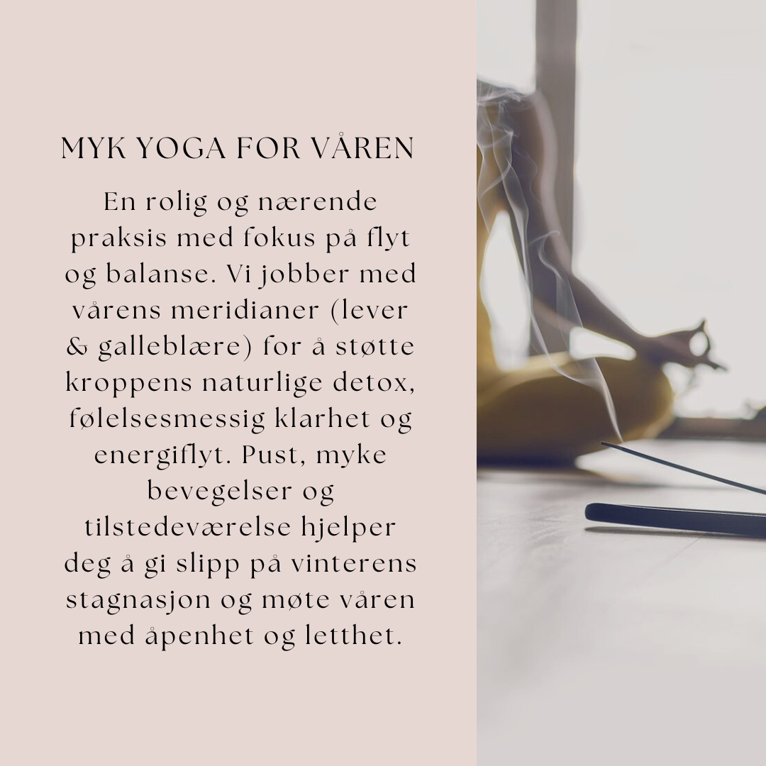 Utsolgt! Dagsretreat | Spring Detox & Activation Day | Søndag 27. april kl. 10:00–16:30