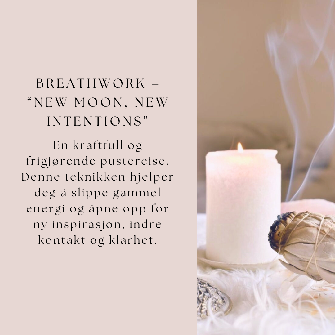 Utsolgt! Dagsretreat | Spring Detox & Activation Day | Søndag 27. april kl. 10:00–16:30