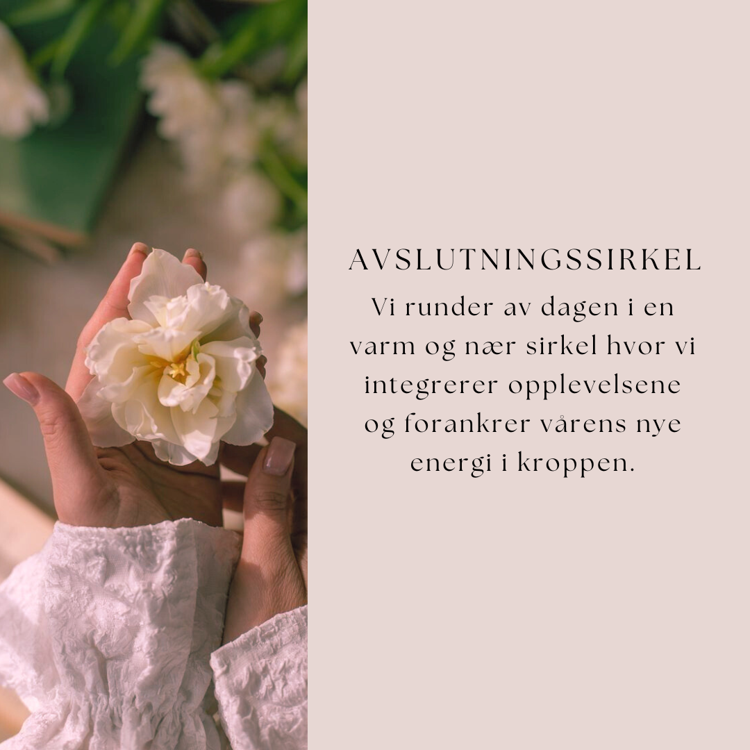 Utsolgt! Dagsretreat | Spring Detox & Activation Day | Søndag 27. april kl. 10:00–16:30