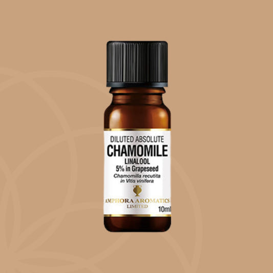 Amphora Aromatics Chamomile Matricaria Abs Diluted (5%) Essential Oil | Kamille (blå) 5% eterisk olje 10 ml