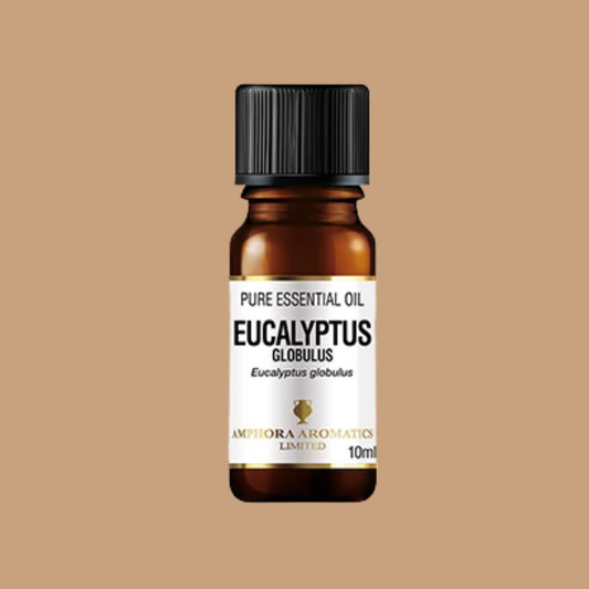Amphora Aromatics Eukalyptus Eterisk Olje 10 ml | Eucalyptus Essential Oil