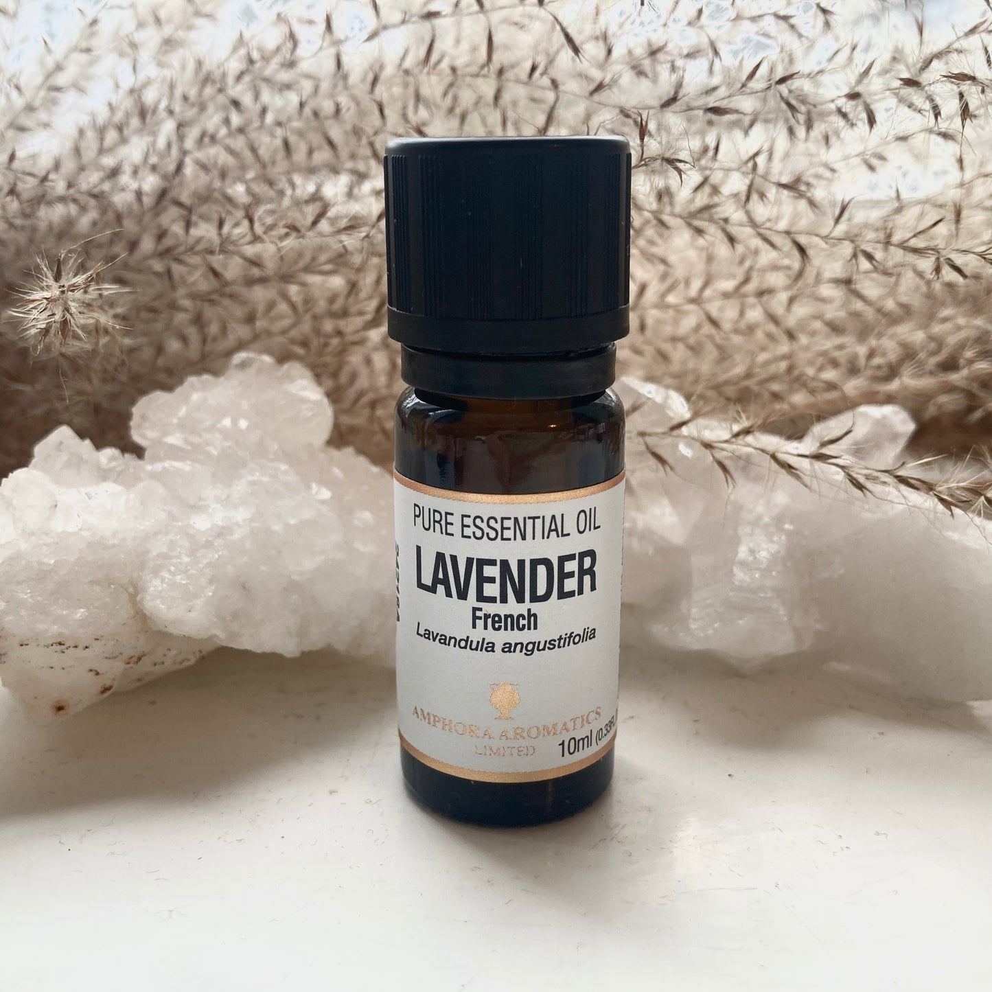 Amphora Aromatics Lavendel Eterisk Olje 10 ml | Lavender Essential Oil