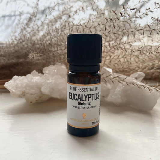 Amphora Aromatics Eukalyptus Eterisk Olje 10 ml | Eucalyptus Essential Oil