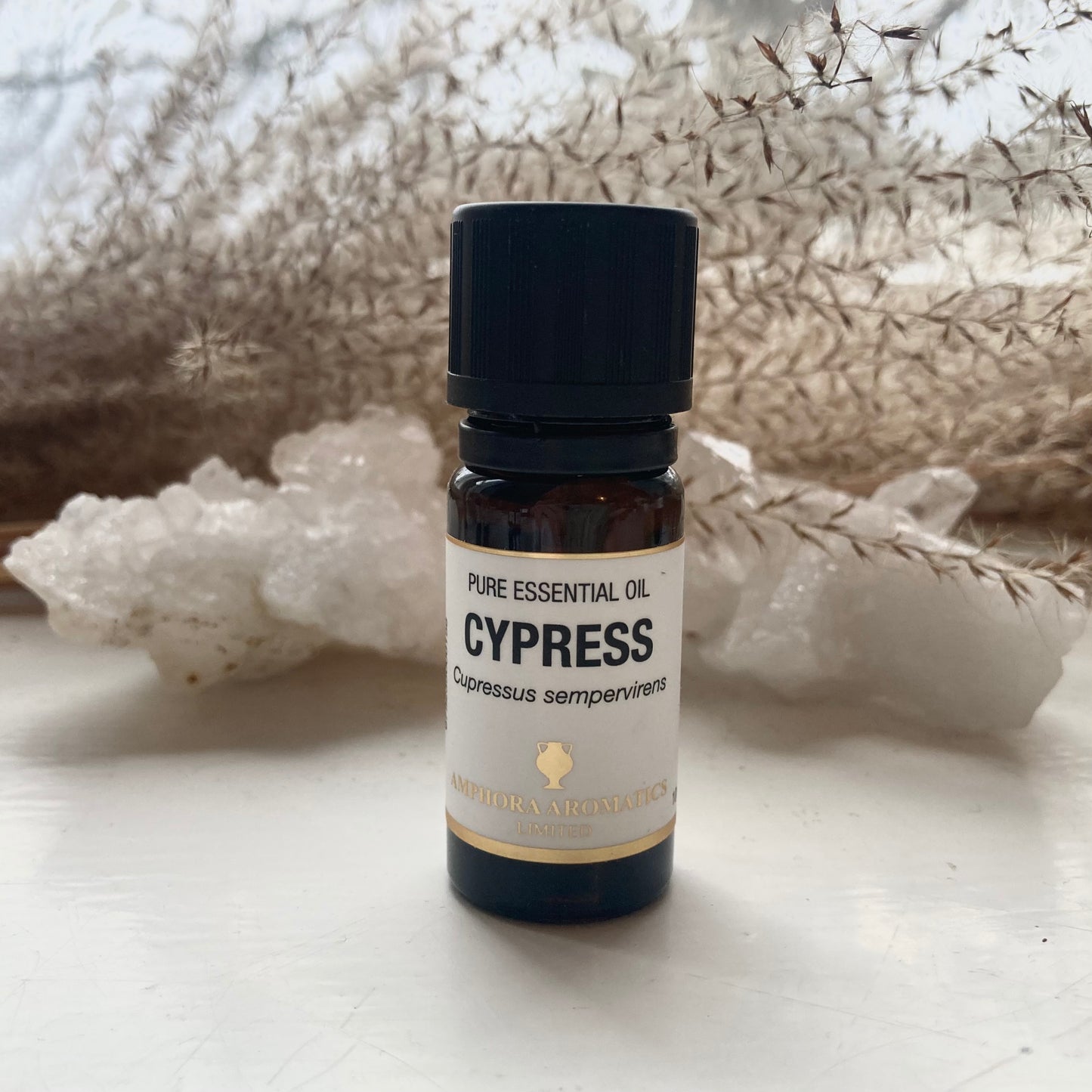 Amphora Aromatics Sypress Eterisk Olje 10 ml | Cypress Essential Oil