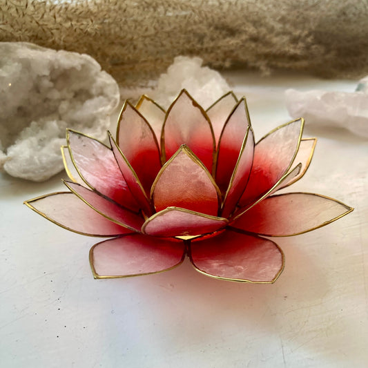 Telysholder Lotus Capiz Rosa