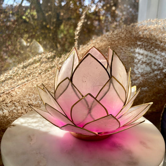 Telysholder Lotus Capiz Rosa Stor