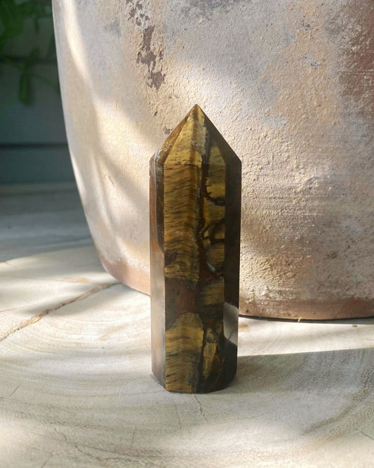 PILAR Tigerøye (9-10 cm)