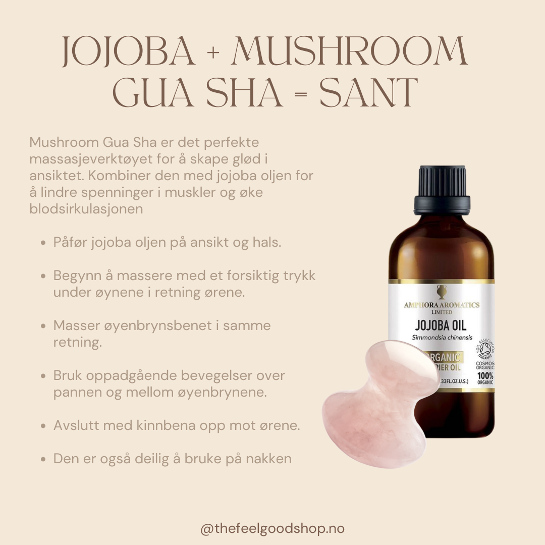 GLOW KIT Jojobaolje og Gua Sha