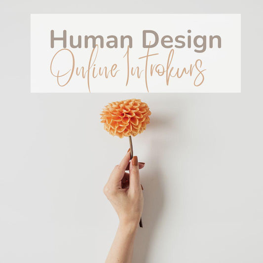 ONLINE KURS Human Design Introkurs-the-feelgood-shop