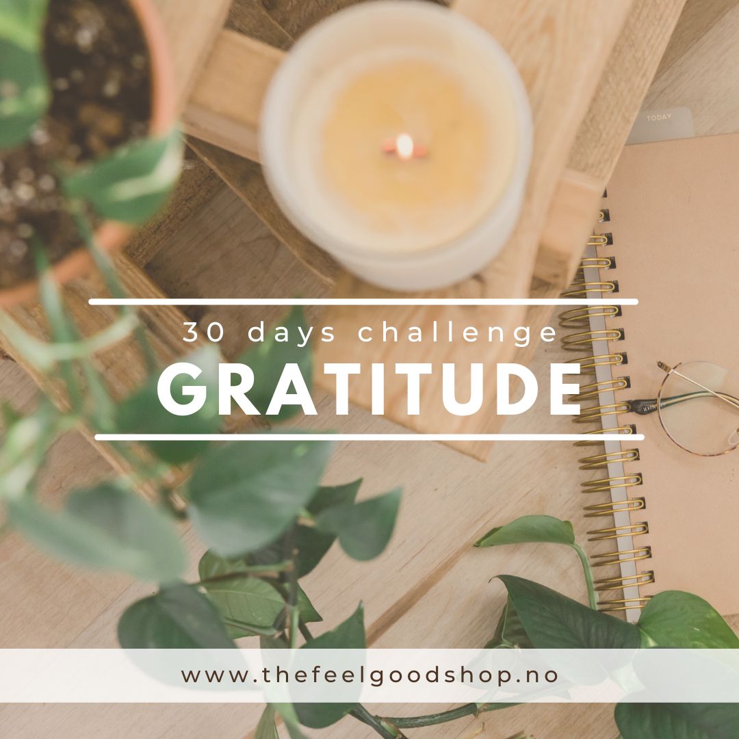 WORKBOOK Takknemlighet - 30 days of gratitude-the-feelgood-shop